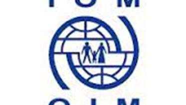 iom small new.jpg