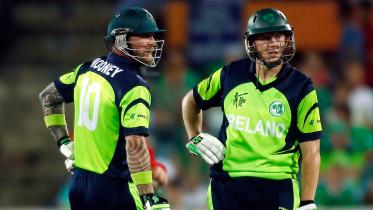 Irish players