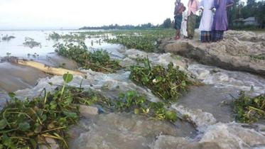 Jamuna erosion worsens.jpg
