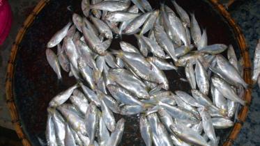 jatka.jpg