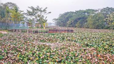 Khulna canals 1.jpg