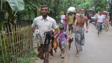 Kurigram-flood-collapsesWB.jpg