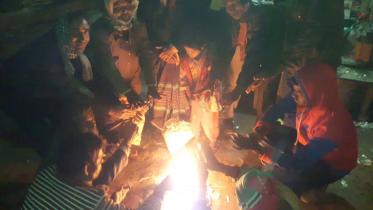 lalmoni-web-2.jpg