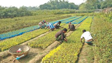 largest-nursery.jpg