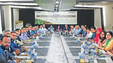 lead photo.jpg