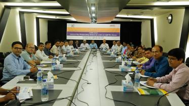 lead photo.jpg