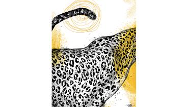 leopard.jpg