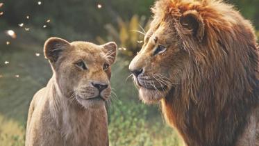 Lion.jpg