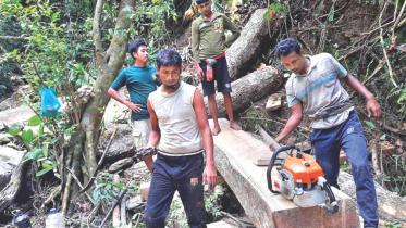 loggers.jpg