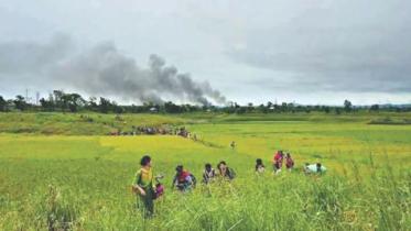 longadu