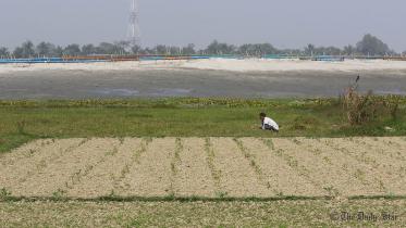 A farmer working 