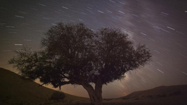 Perseids, meteor shower, Swift-Tuttle comet, NASA, Meteoroid Environments Office