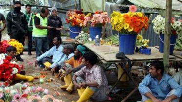 foreign workers
