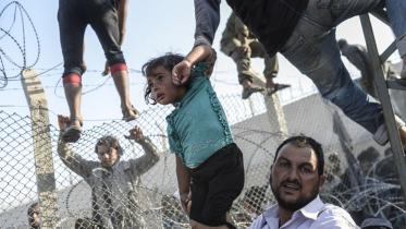 migrantWB.jpg