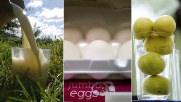 milk-eggs-lemon-wb.jpg