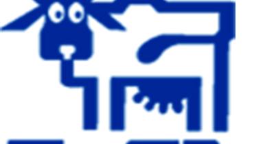 milk vita new.jpg