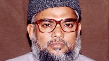 mojaheed