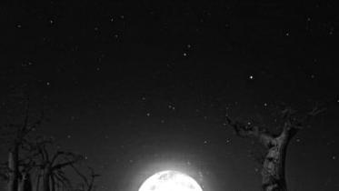 moon.jpg