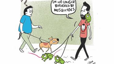 mosquito.jpg