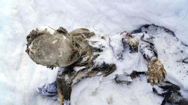 mummified bodies.jpg