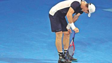 murray.jpg