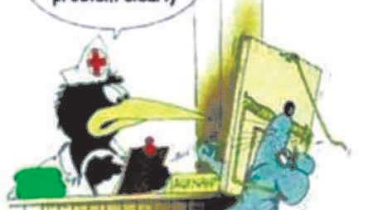 Cartoon