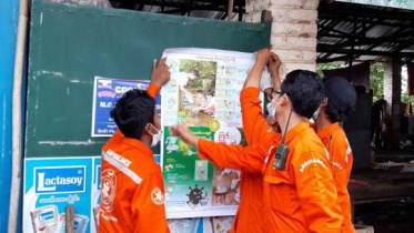myanmar H5N1