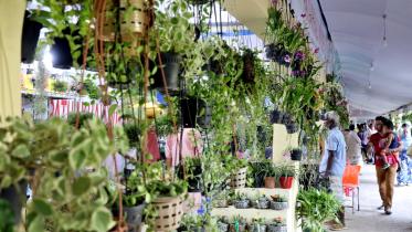 Nature lovers1.jpg