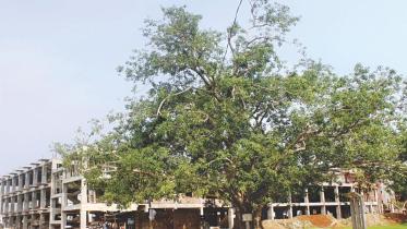 nazrul.jpg