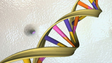 new-gene-1-web.jpg