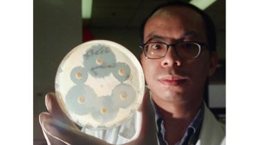 new-superbug-1WB.jpg
