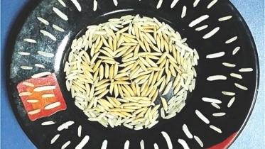 new rice.jpg