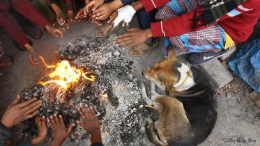 A group of people huddle near a fire, joined by a dog