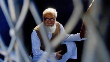nizami-wb2.jpg