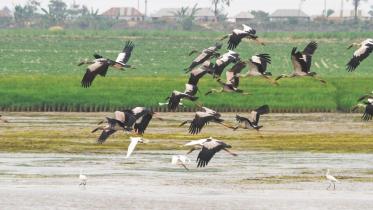 Northern Bangladesh