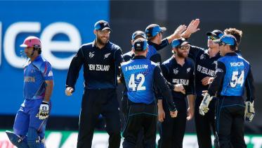 New Zealand's cricketers celebrate