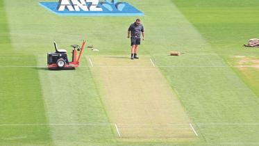 nz green pitch.jpg