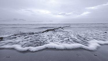 Ocean.jpg