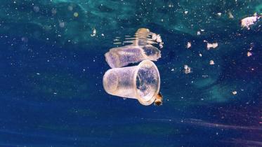 Ocean Plastic 