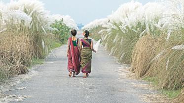 Of Autumn & Bengal