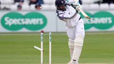 Essex Cricket