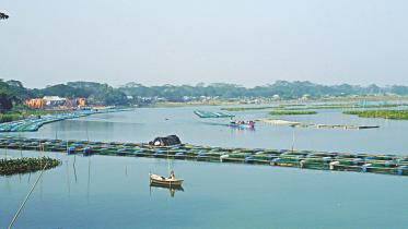 padma beel.jpg