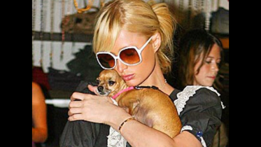 Paris Hilton 