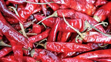 peper.jpg