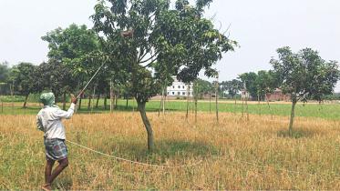 pesticides 1.jpg