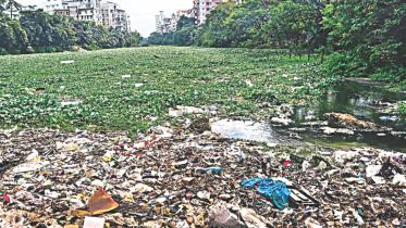 Plastic Pollution