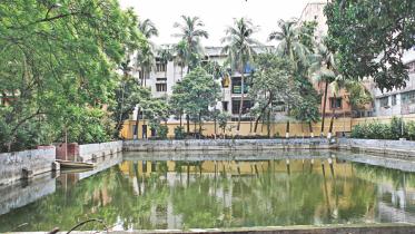 pond 1.jpg