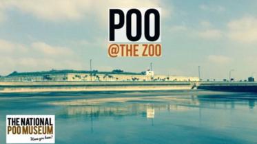 Poo museum.JPG
