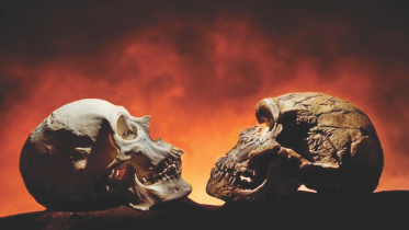 QUIRKY SCIENCE.jpg
