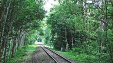 Rail-lineWB.jpg